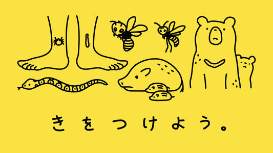 アウトドア好き必見!「危険生物」への対応 -安全にアウトドアを楽しむために-
