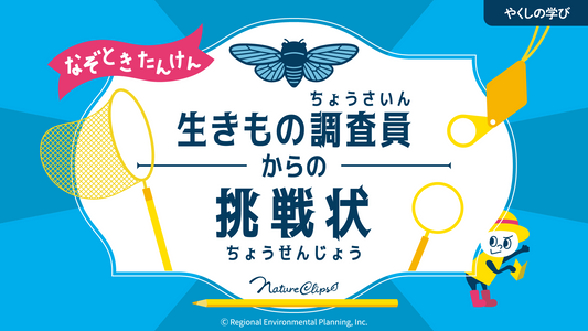 なぞときたんけん 生きもの調査員からの挑戦状