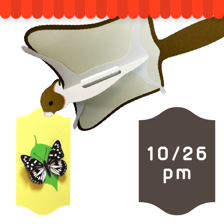 いきものペーパークラフト24年10月26日(土)午後の回