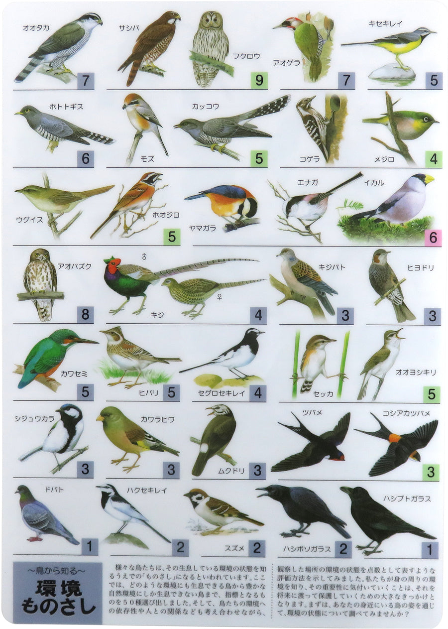音声で学べる!鳴き声・生態がわかる観察ツール 野鳥シート(音声ペン対応)【日本鳥類保護連盟】