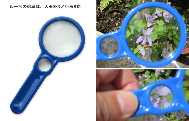 小さな生きもの観察セット デザイン野帳&3色ボールペン付き Vixen×地域環境計画