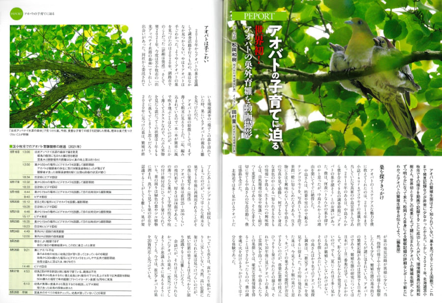faura(ファウラ) 65号 北海道 アオバト特集