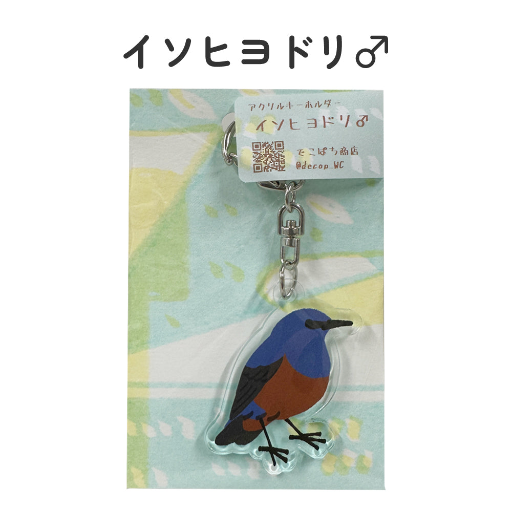 アクリルキーホルダー 野鳥 【でこぱち商店】