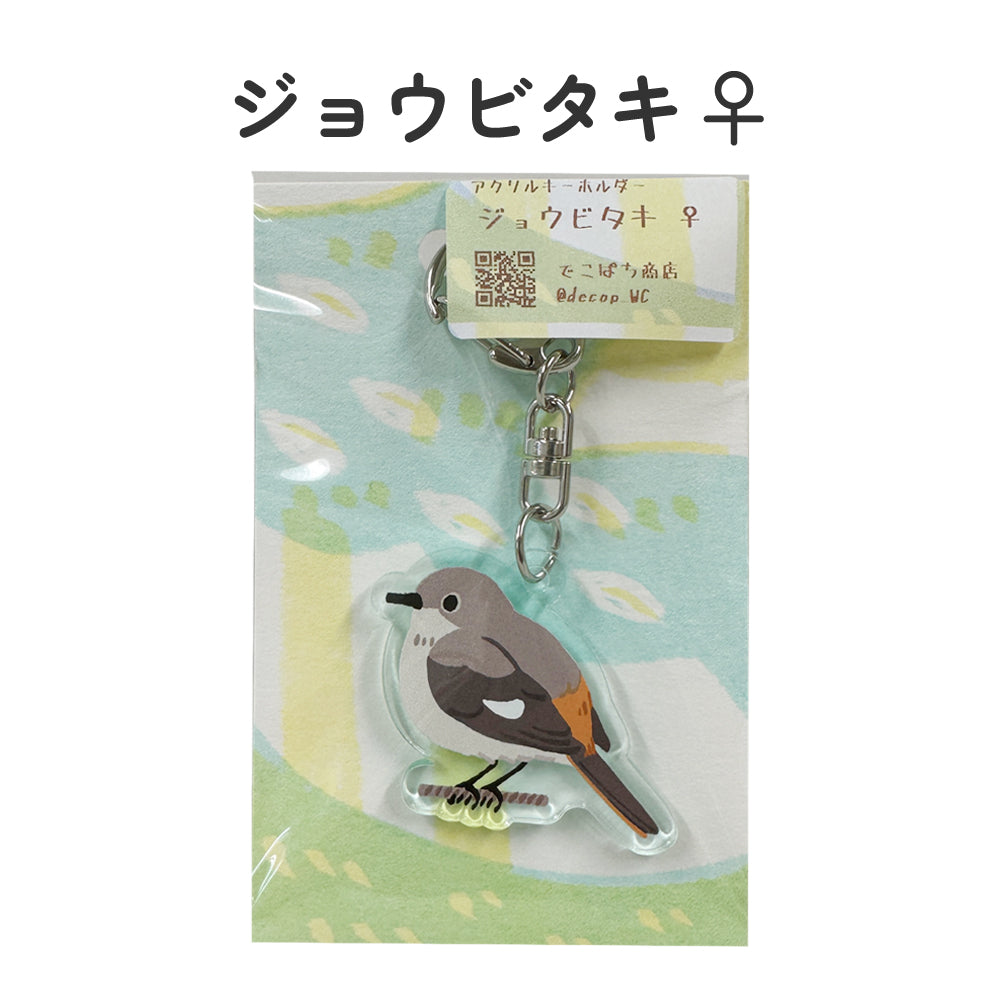 アクリルキーホルダー 野鳥 【でこぱち商店】