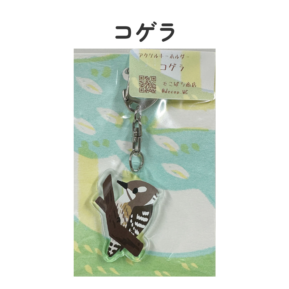 アクリルキーホルダー 野鳥 【でこぱち商店】