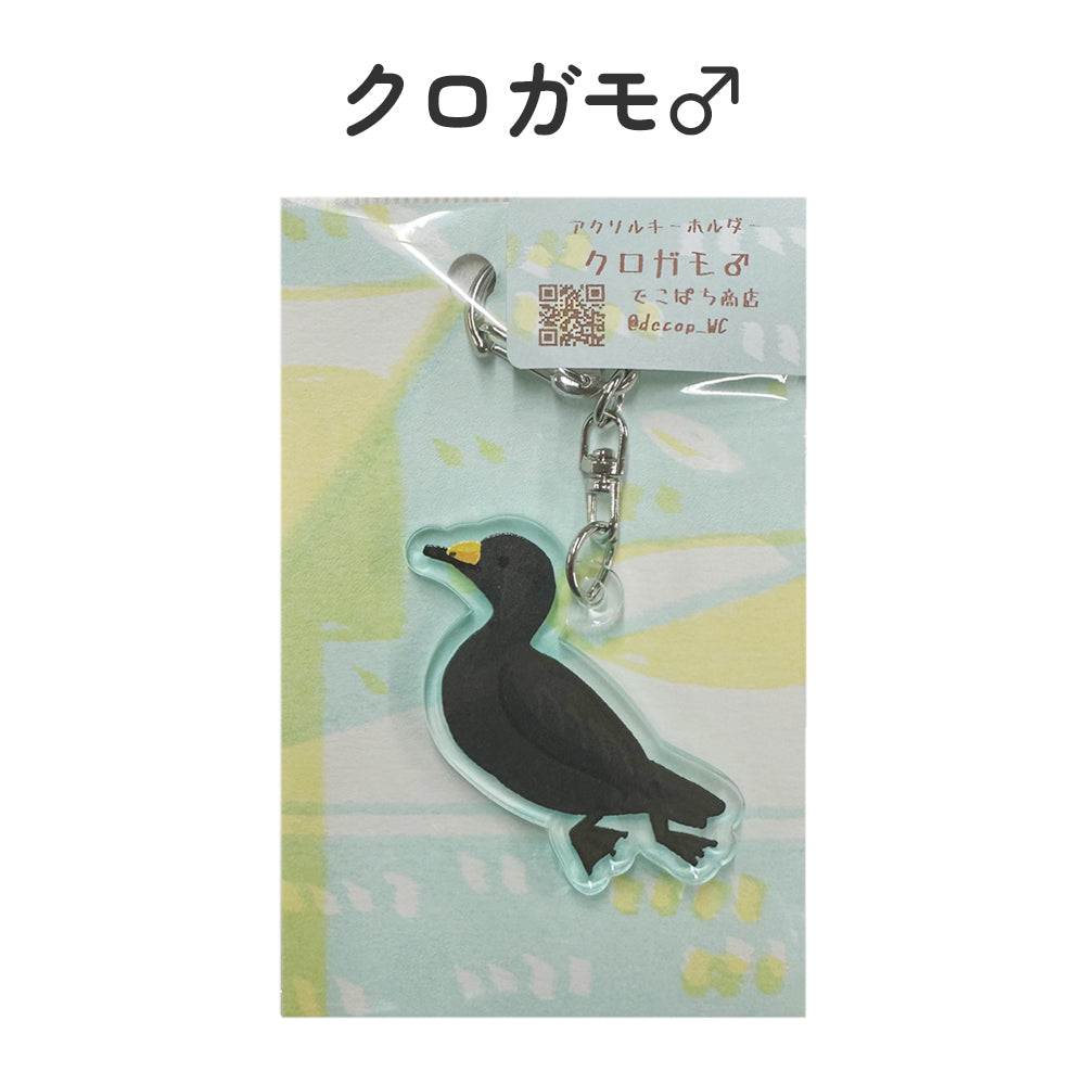 アクリルキーホルダー 野鳥 【でこぱち商店】