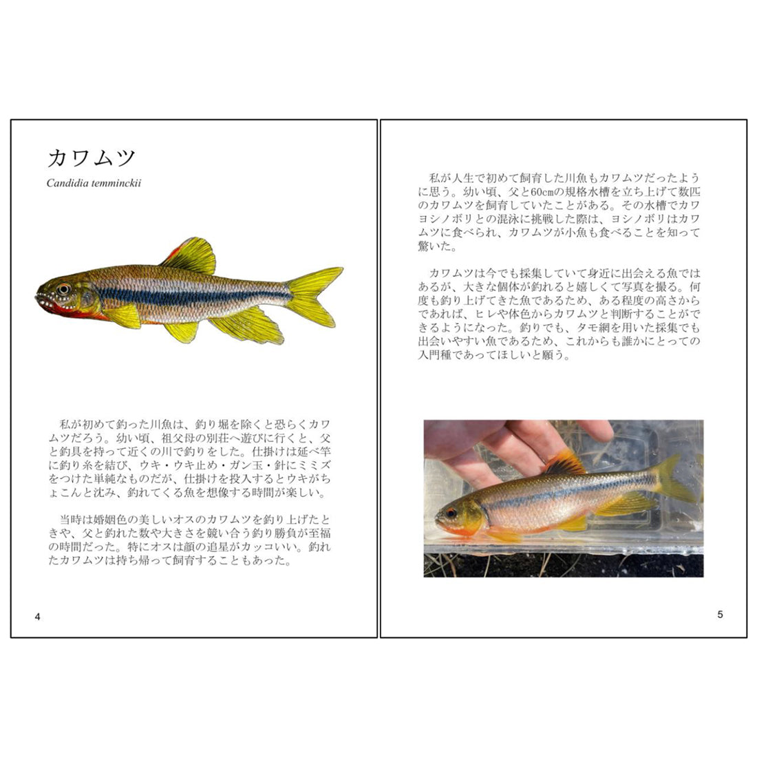 未来に残したい日本の川魚 第一章【sakanasuki】
