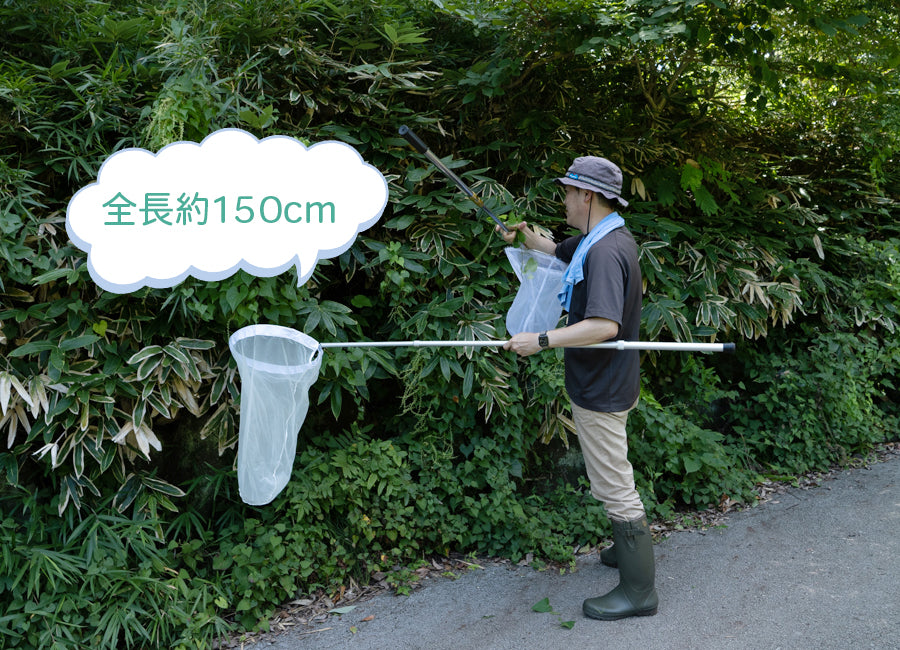 虫捕り網 携帯セット【志賀昆虫製】