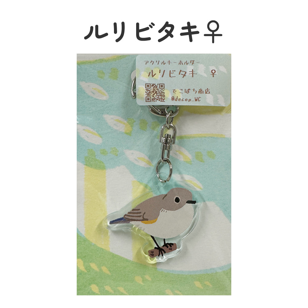 アクリルキーホルダー 野鳥 【でこぱち商店】