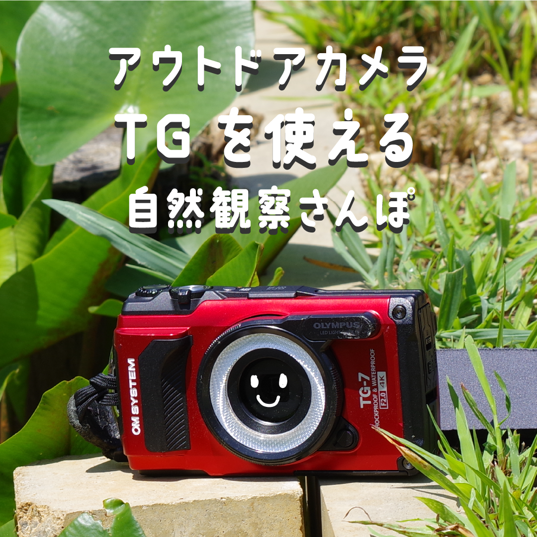 アウトドアカメラTGを使える自然観察さんぽ - 24/10/20/(日)午後の回