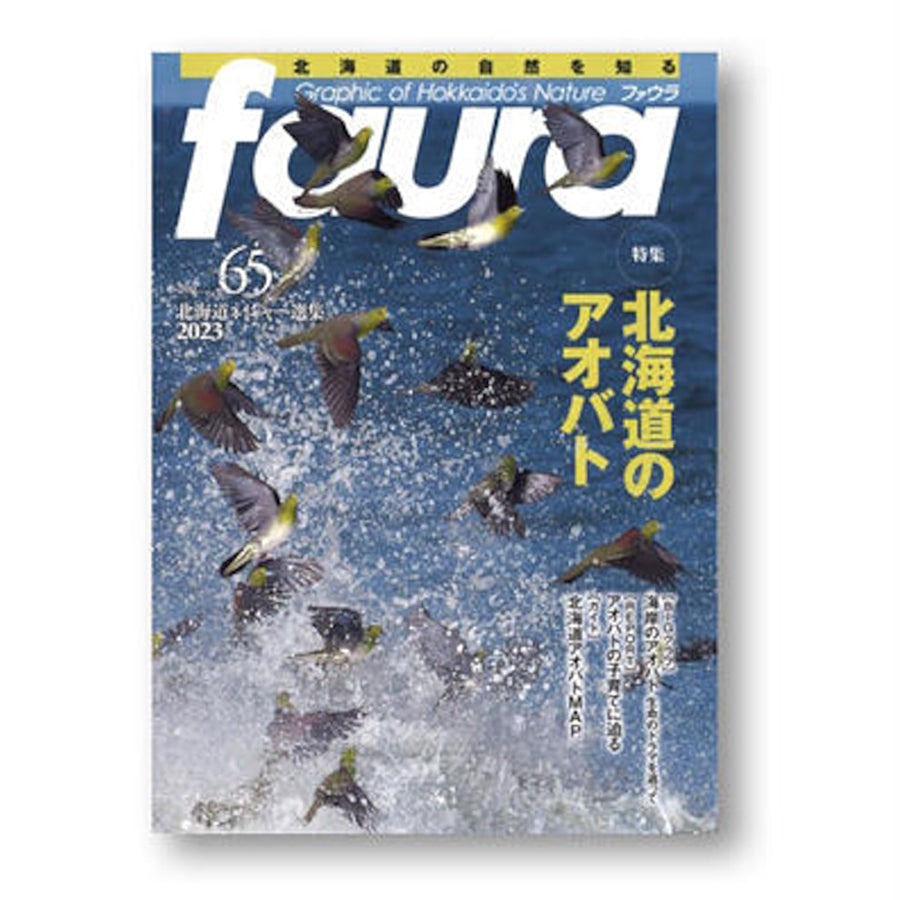 faura(ファウラ) 65号  北海道 アオバト特集