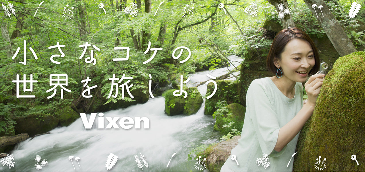 コケ観察セット【Vixen】 ルーペ・レンズ他同封 コケの魅力を再発見