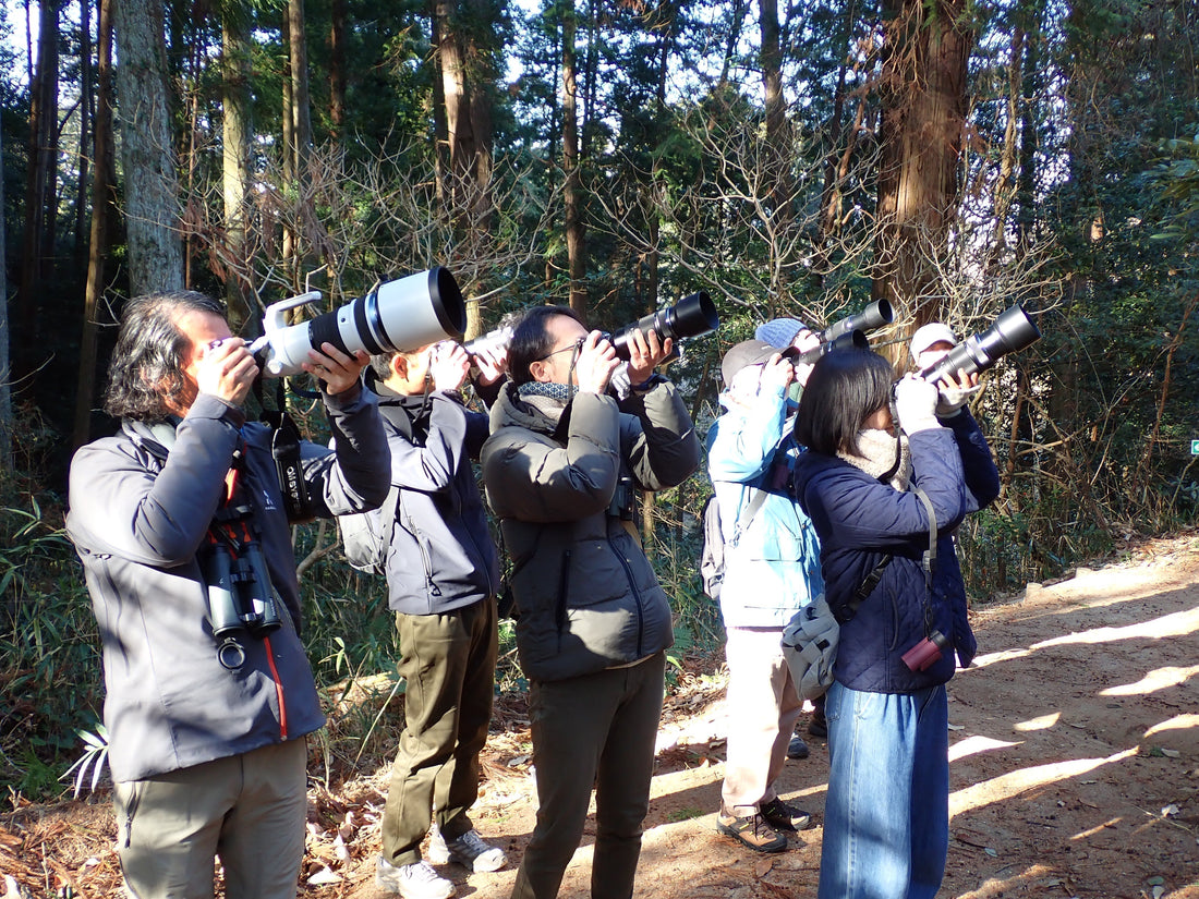 OM-1 Mark IIで野鳥撮影デビュー！自然環境調査員が教える「失敗しない」設定と観察のポイント