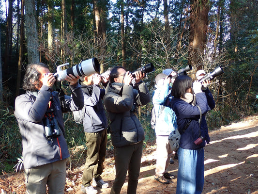 OM-1 Mark IIで野鳥撮影デビュー！自然環境調査員が教える「失敗しない」設定と観察のポイント