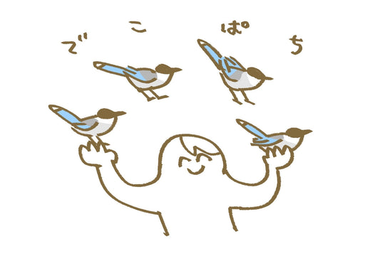 〈でこぱち商店〉商品選定の想い～豊田市自然観察の森