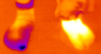 防寒性能試験｜-40℃で耐えられる？～フィールドブーツ#1308（防寒タイプ）とFieldwork Gloves