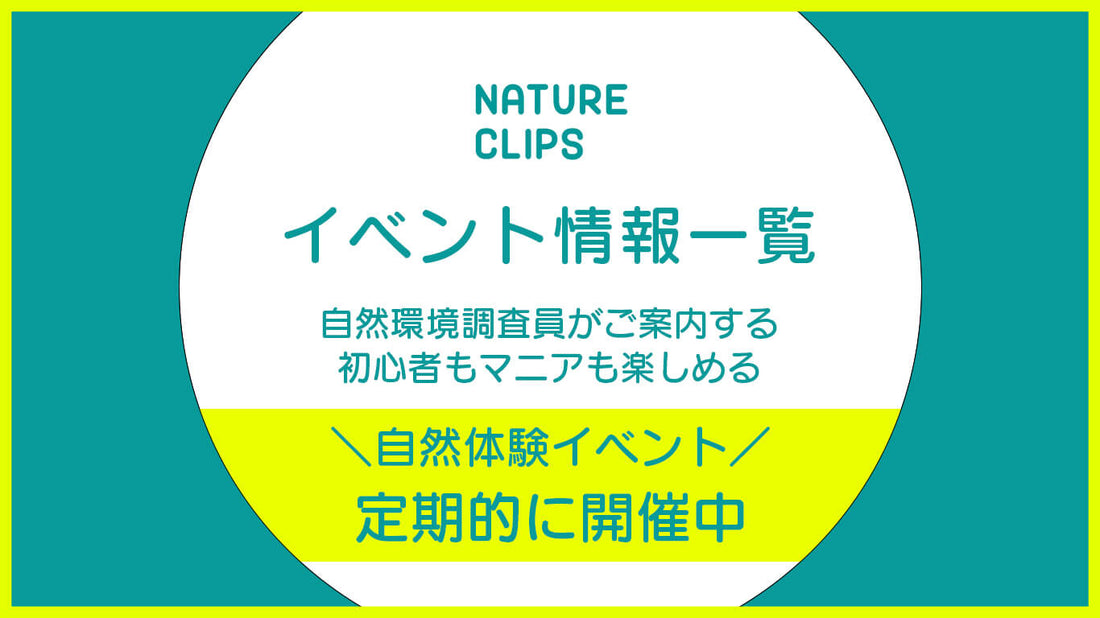 イベント情報