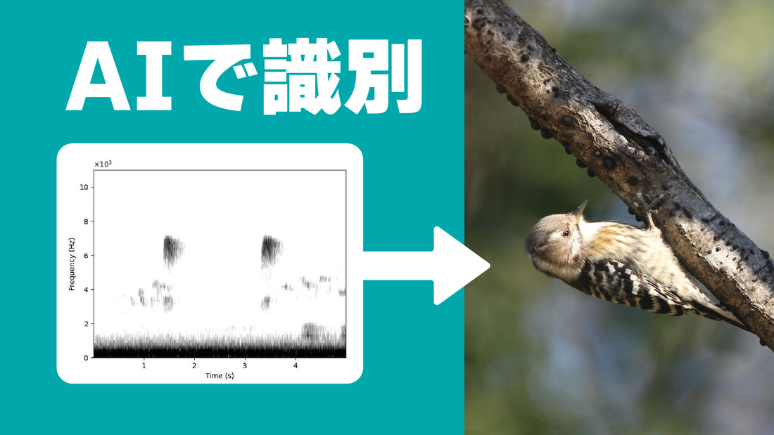 AIによる鳥類の鳴き声識別アプリを自作してみた