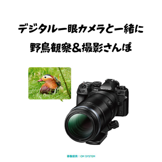 デジタル一眼カメラと一緒に野鳥観察＆撮影さんぽ - 26/01/17（土）の回