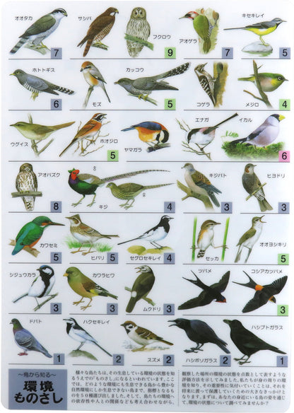音声で学べる！鳴き声・生態がわかる観察ツール 野鳥シート（音声ペン対応）【日本鳥類保護連盟】