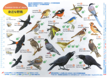 音声で学べる！鳴き声・生態がわかる観察ツール 野鳥シート（音声ペン対応）【日本鳥類保護連盟】
