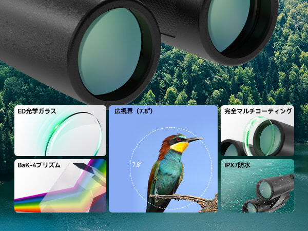 双眼鏡 8x32ED SV202 軽量アップグレードモデル【SVBONY】