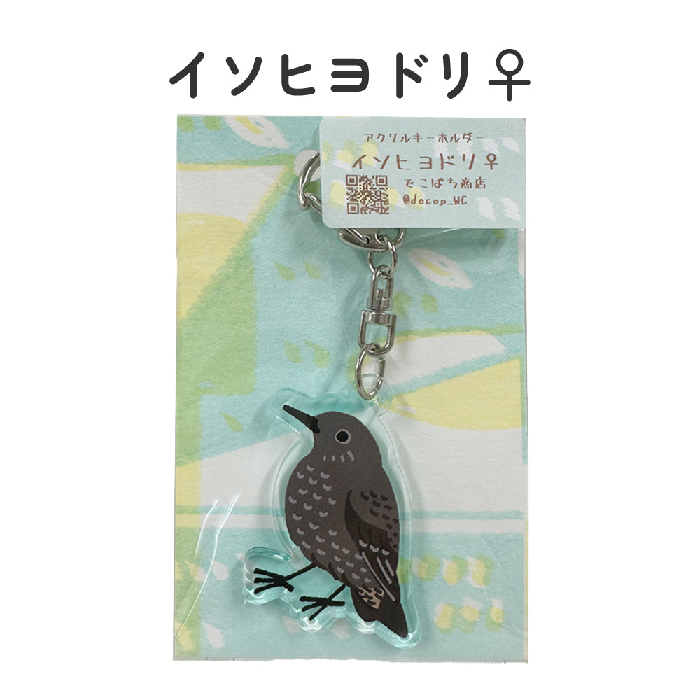 アクリルキーホルダー 野鳥 【でこぱち商店】