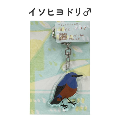 アクリルキーホルダー 野鳥 【でこぱち商店】
