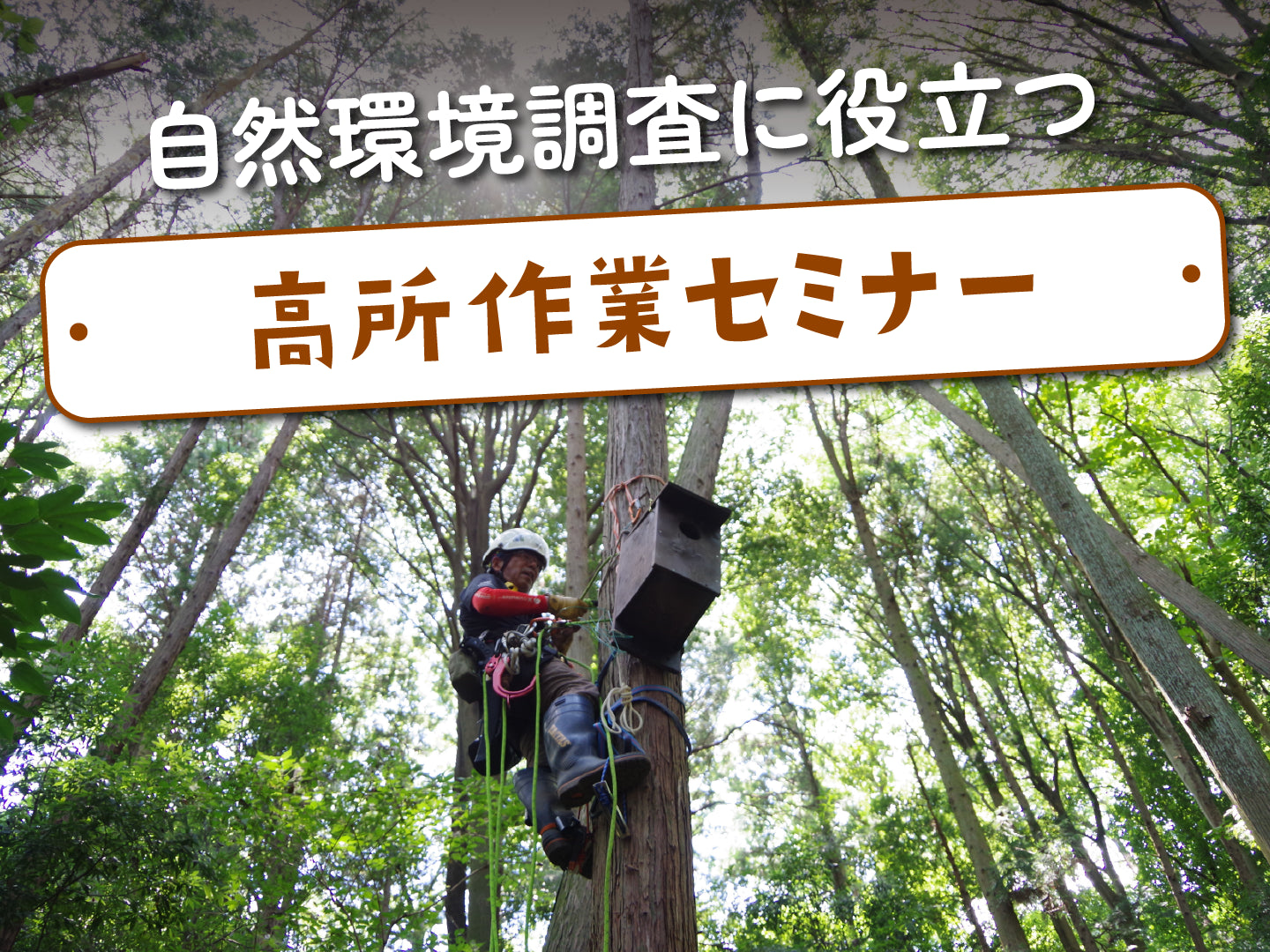 自然環境調査に役立つ高所作業