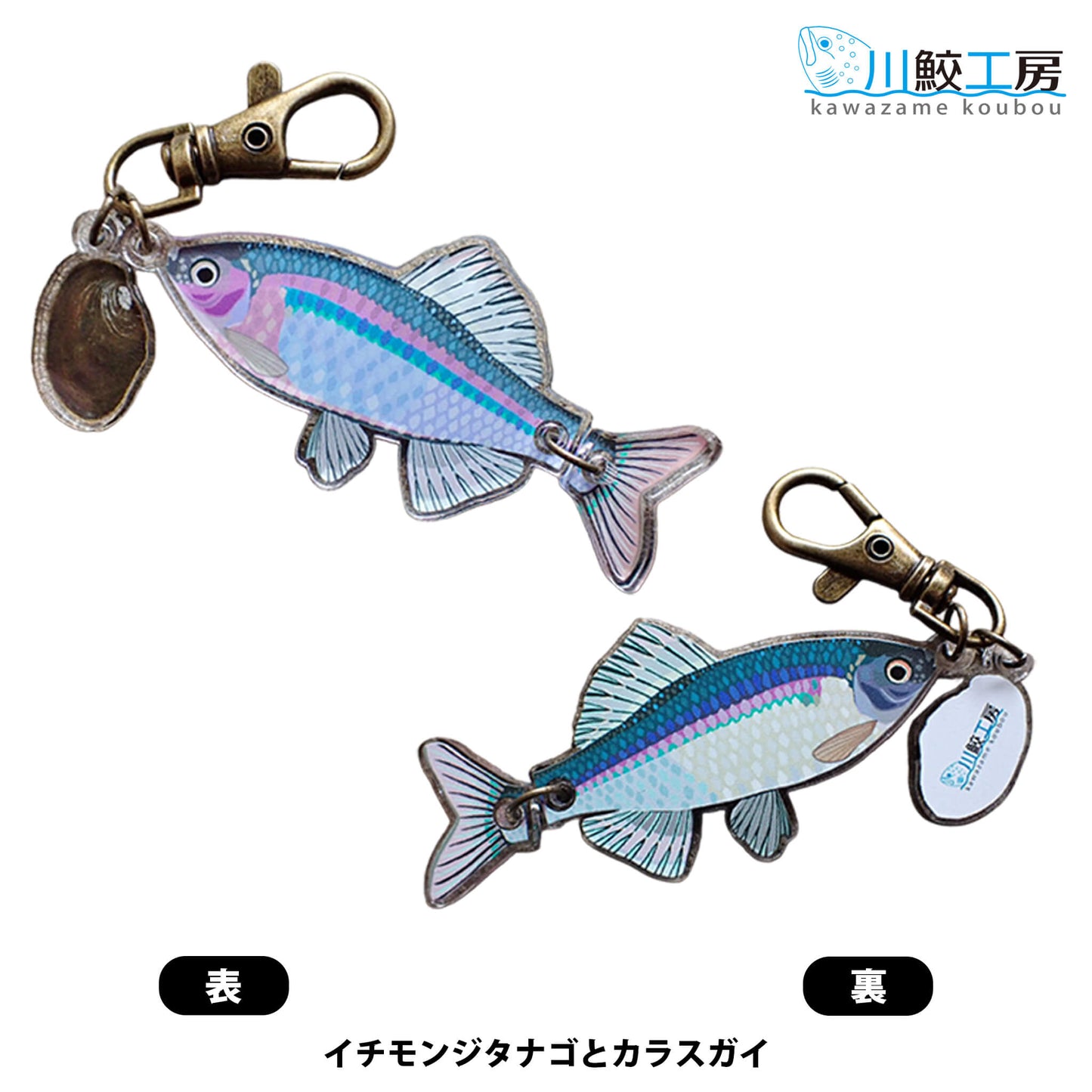 泳ぐおさかなキーホルダー：イチモンジタナゴとカラスガイ【川鮫工房】ハンドメイド・手作り・オリジナル／ネイチャークリップス（NATURE CLIPS） - 公式オンラインストア／株式会社地域環境計画 - ちいかん