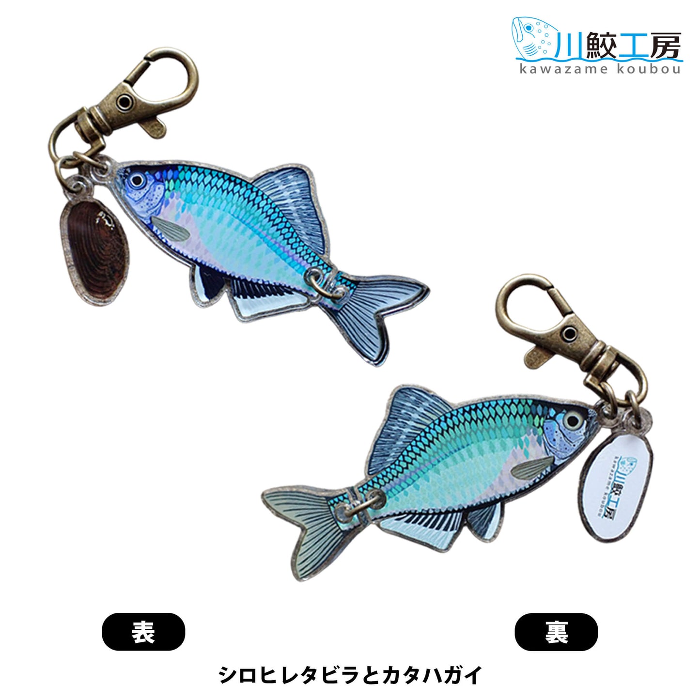 泳ぐおさかなキーホルダー：シロヒレタビラとカタハガイ【川鮫工房】ハンドメイド・手作り・オリジナル／ネイチャークリップス（NATURE CLIPS） - 公式オンラインストア／株式会社地域環境計画 - ちいかん