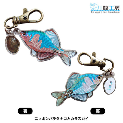 泳ぐおさかなキーホルダー：ニッポンバラタナゴとカラスガイ 【川鮫工房】ハンドメイド・手作り・オリジナル／ネイチャークリップス（NATURE CLIPS） - 公式オンラインストア／株式会社地域環境計画 - ちいかん