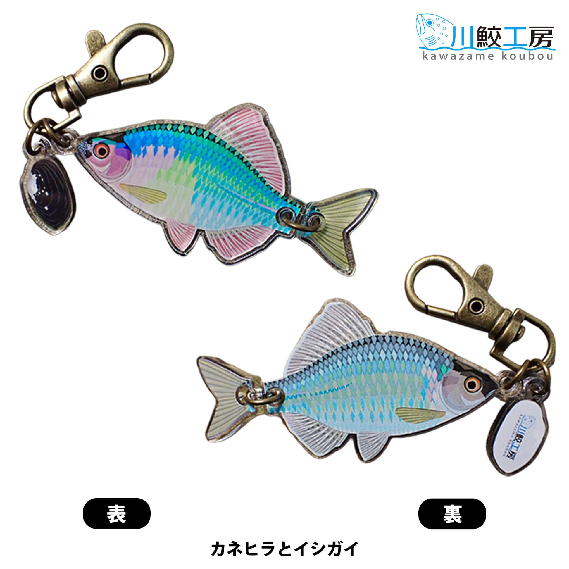 泳ぐおさかなキーホルダー：カネヒラとイシガイ【川鮫工房】ハンドメイド・手作り・オリジナル／ネイチャークリップス（NATURE CLIPS） - 公式オンラインストア／株式会社地域環境計画 - ちいかん