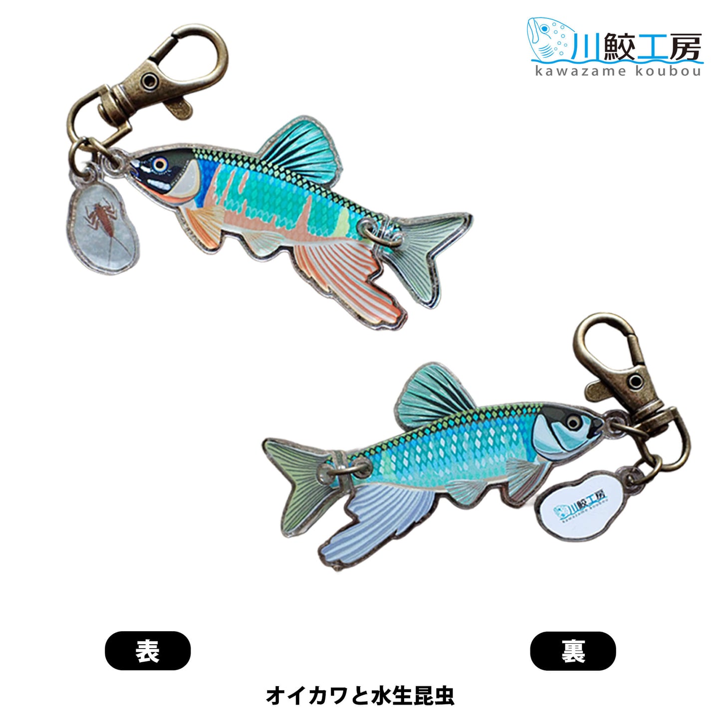 泳ぐおさかなキーホルダー：オイカワとナミヒラタカゲロウ【川鮫工房】ハンドメイド・手作り・オリジナル／ネイチャークリップス（NATURE CLIPS） - 公式オンラインストア／株式会社地域環境計画 - ちいかん