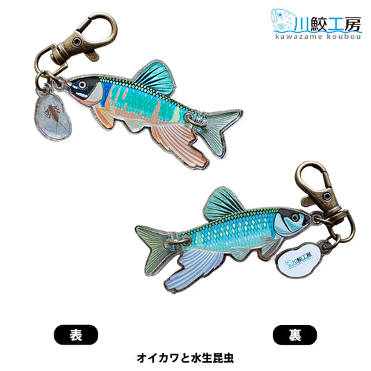 泳ぐおさかなキーホルダー：オイカワとナミヒラタカゲロウ【川鮫工房】ハンドメイド・手作り・オリジナル／ネイチャークリップス（NATURE CLIPS） - 公式オンラインストア／株式会社地域環境計画 - ちいかん
