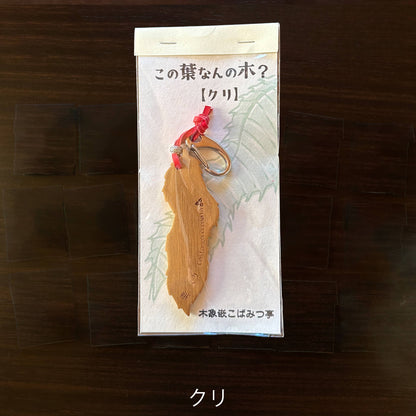 無垢・無塗装／国産材バックチャーム｜この葉なんの木？【木象嵌こばみつ亭】