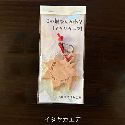 無垢・無塗装／国産材バックチャーム｜この葉なんの木？【木象嵌こばみつ亭】