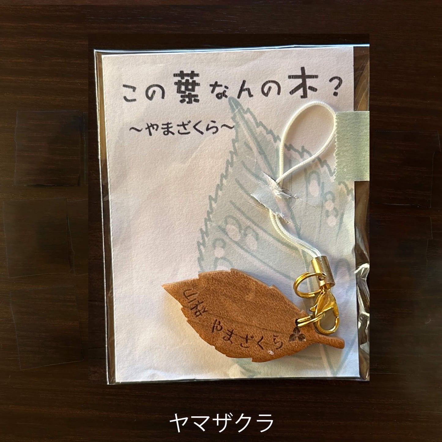 この葉なんの木？ストラップ （ヤマザクラ）【木象嵌こばみつ亭】｜ネイチャークリップス（NATURE CLIPS） - 公式オンラインストア／株式会社地域環境計画 - ちいかん