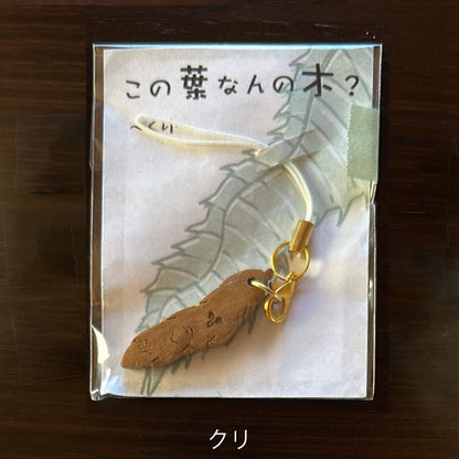 この葉なんの木？ストラップ （クリ）【木象嵌こばみつ亭】｜ネイチャークリップス（NATURE CLIPS） - 公式オンラインストア／株式会社地域環境計画 - ちいかん
