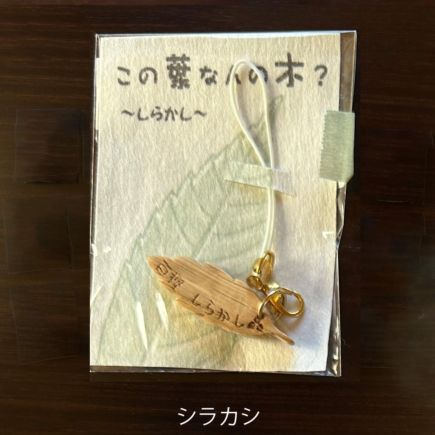 この葉なんの木？ストラップ （クスノキ）【木象嵌こばみつ亭】】｜ネイチャークリップス（NATURE CLIPS） - 公式オンラインストア／株式会社地域環境計画 - ちいかん
